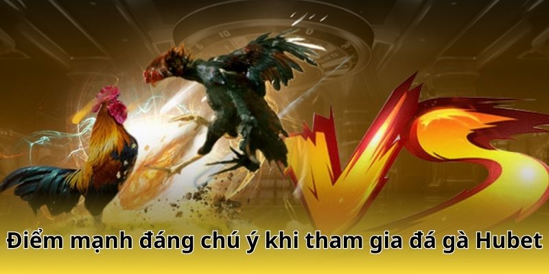 Điểm mạnh đáng chú ý khi tham gia đá gà Hubet