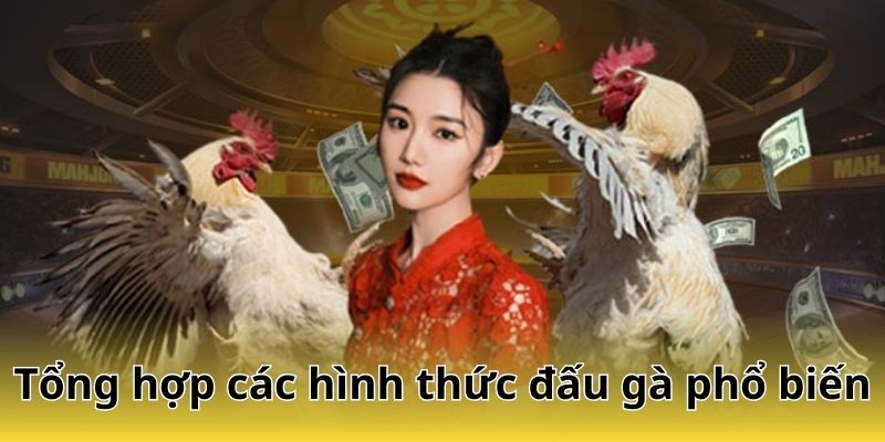 Tổng hợp những loại hình thi đấu gà được ưa chuộng